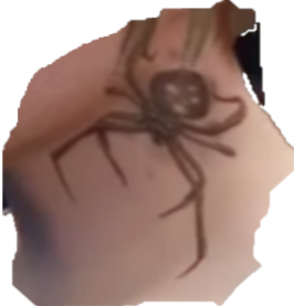 Spider.png